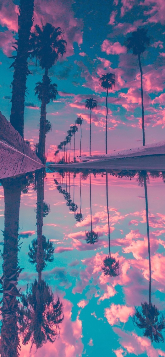 不同的角度看世界