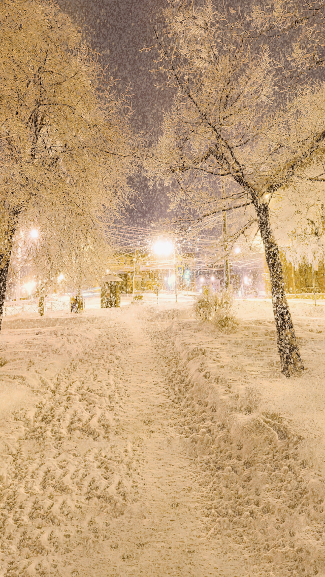 小年雪景