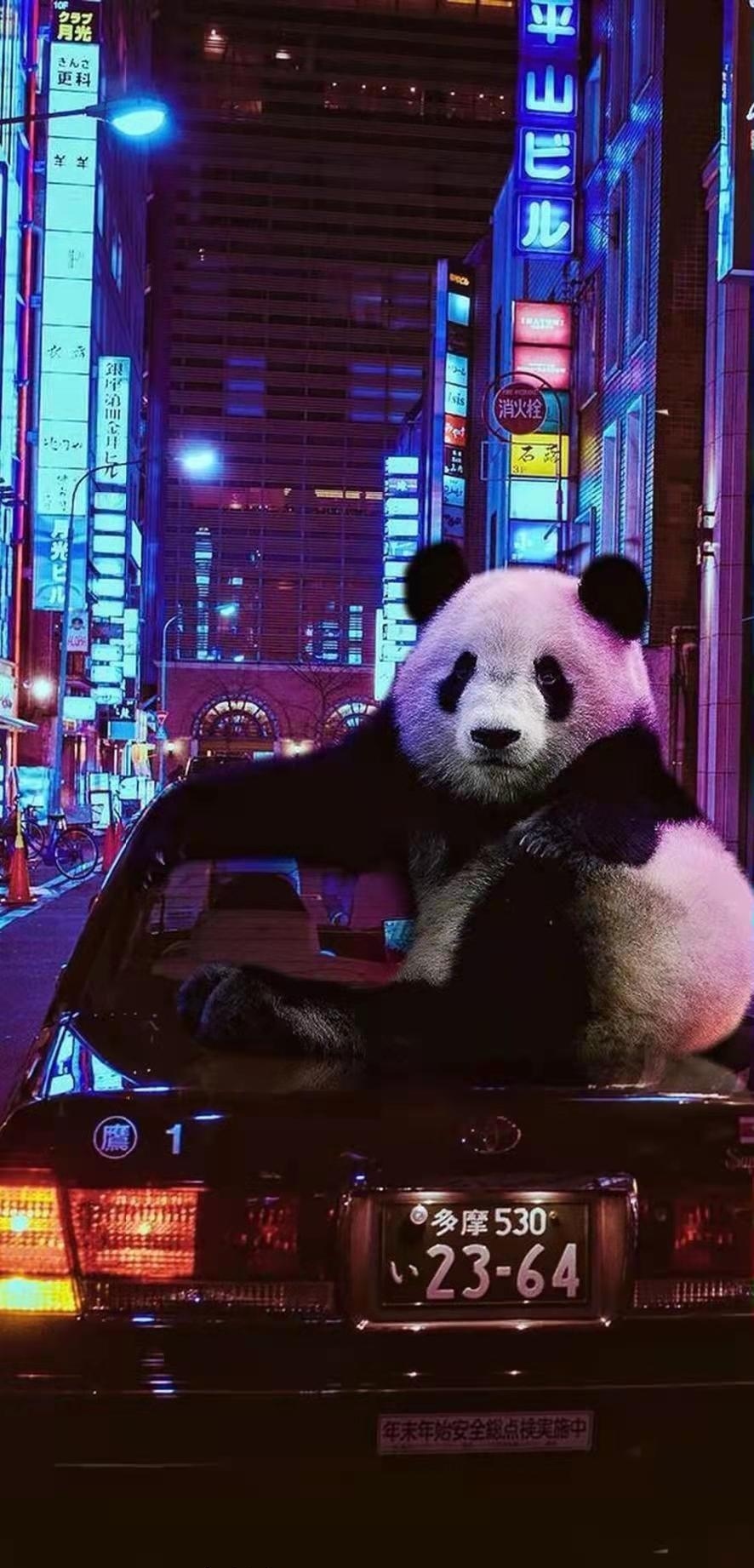 熊貓
