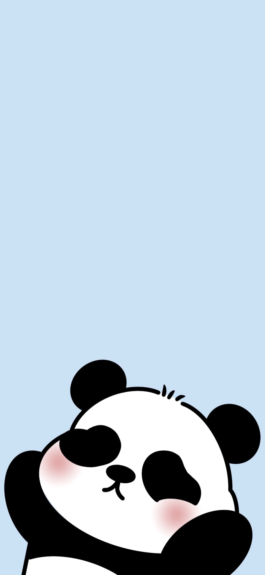 小熊貓