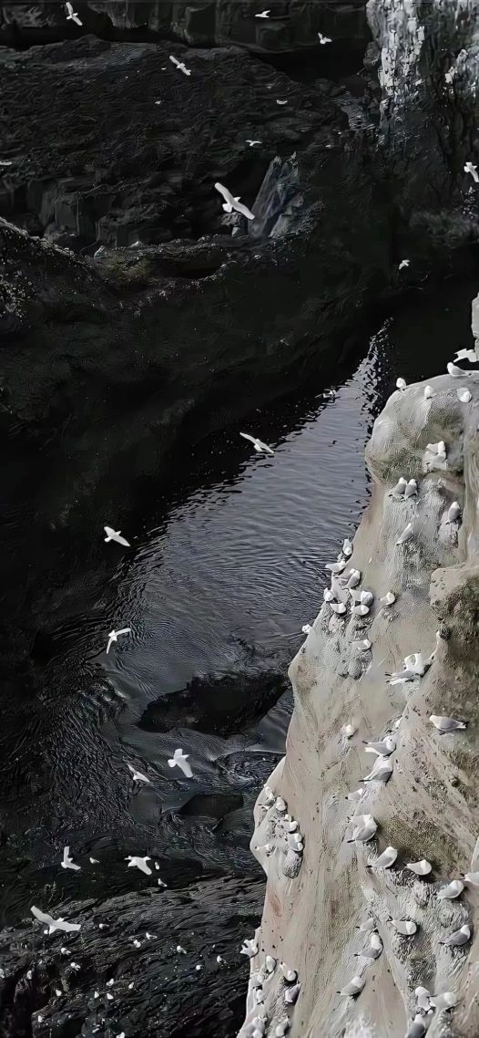 海水