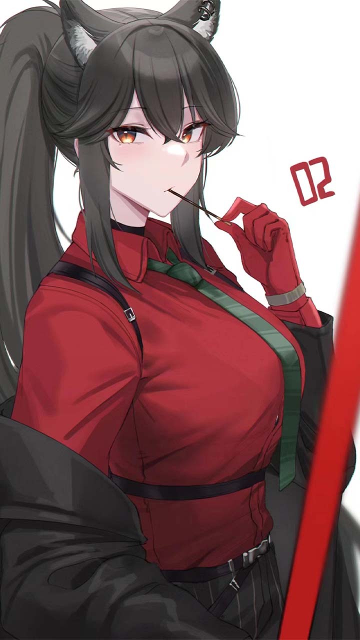 动漫-狐狸系美女