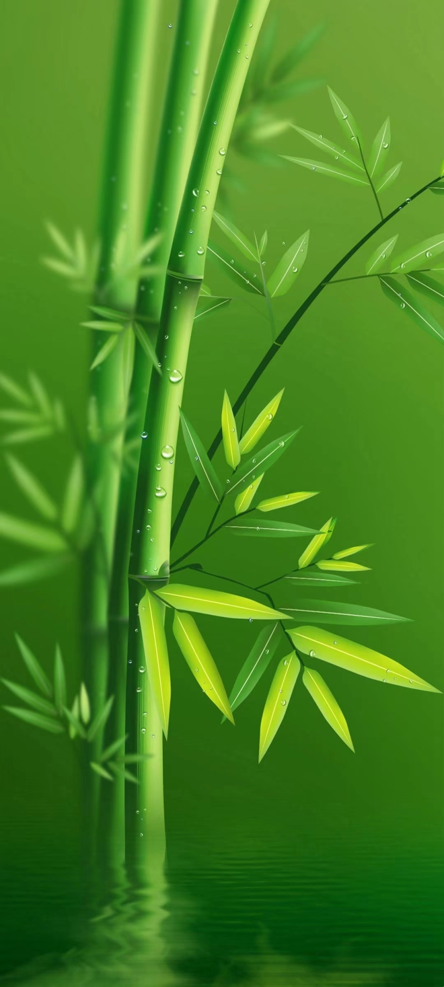 绿色护眼壁纸