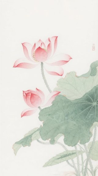 荷花
