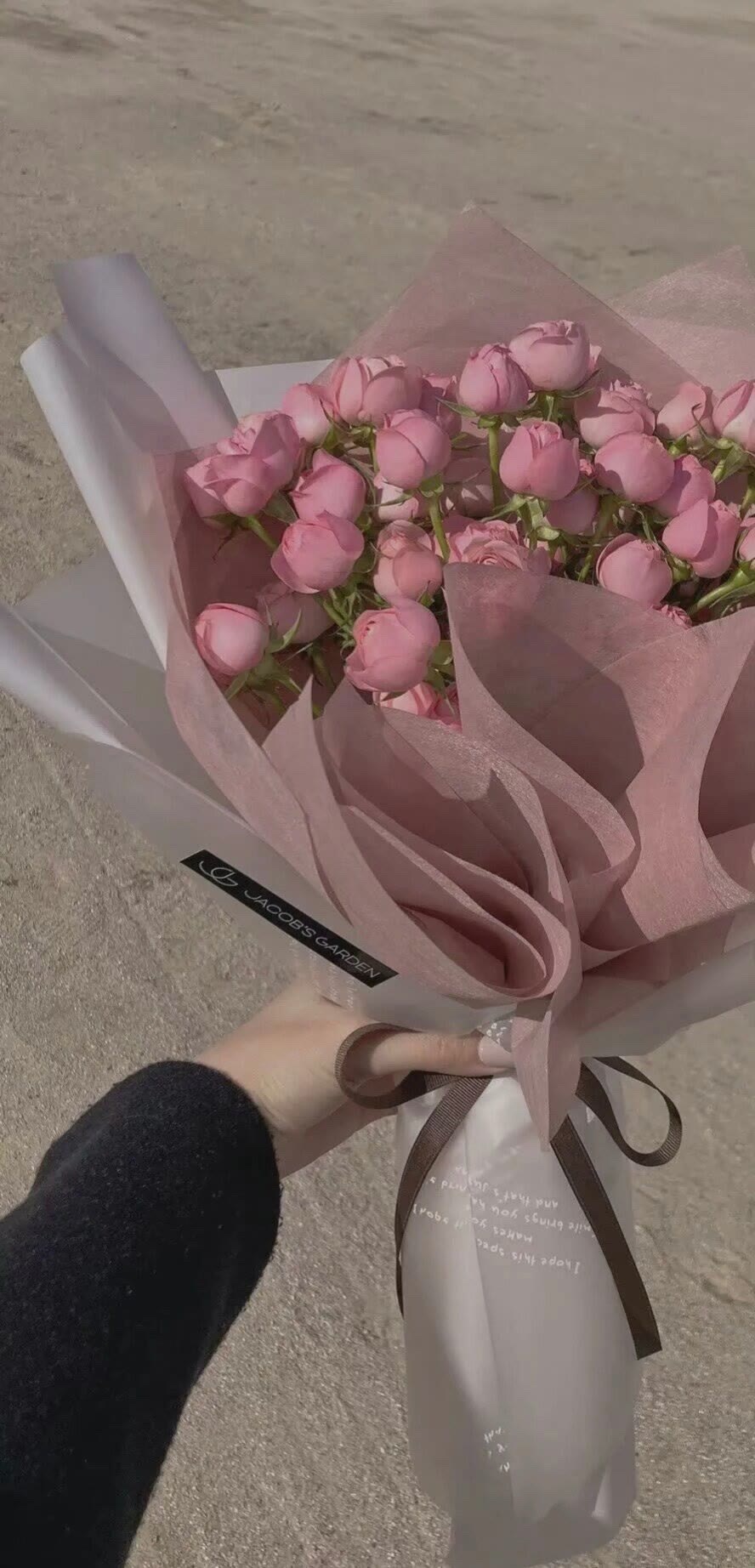 粉色玫瑰花