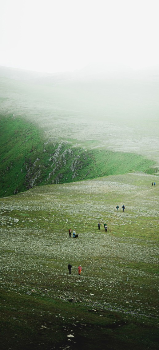 风景