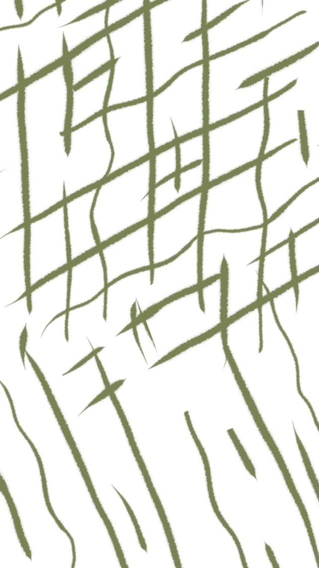 藤条