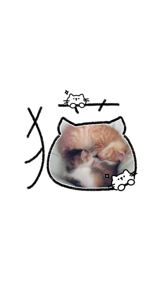 花咪和桔咪