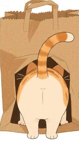 猫bottom