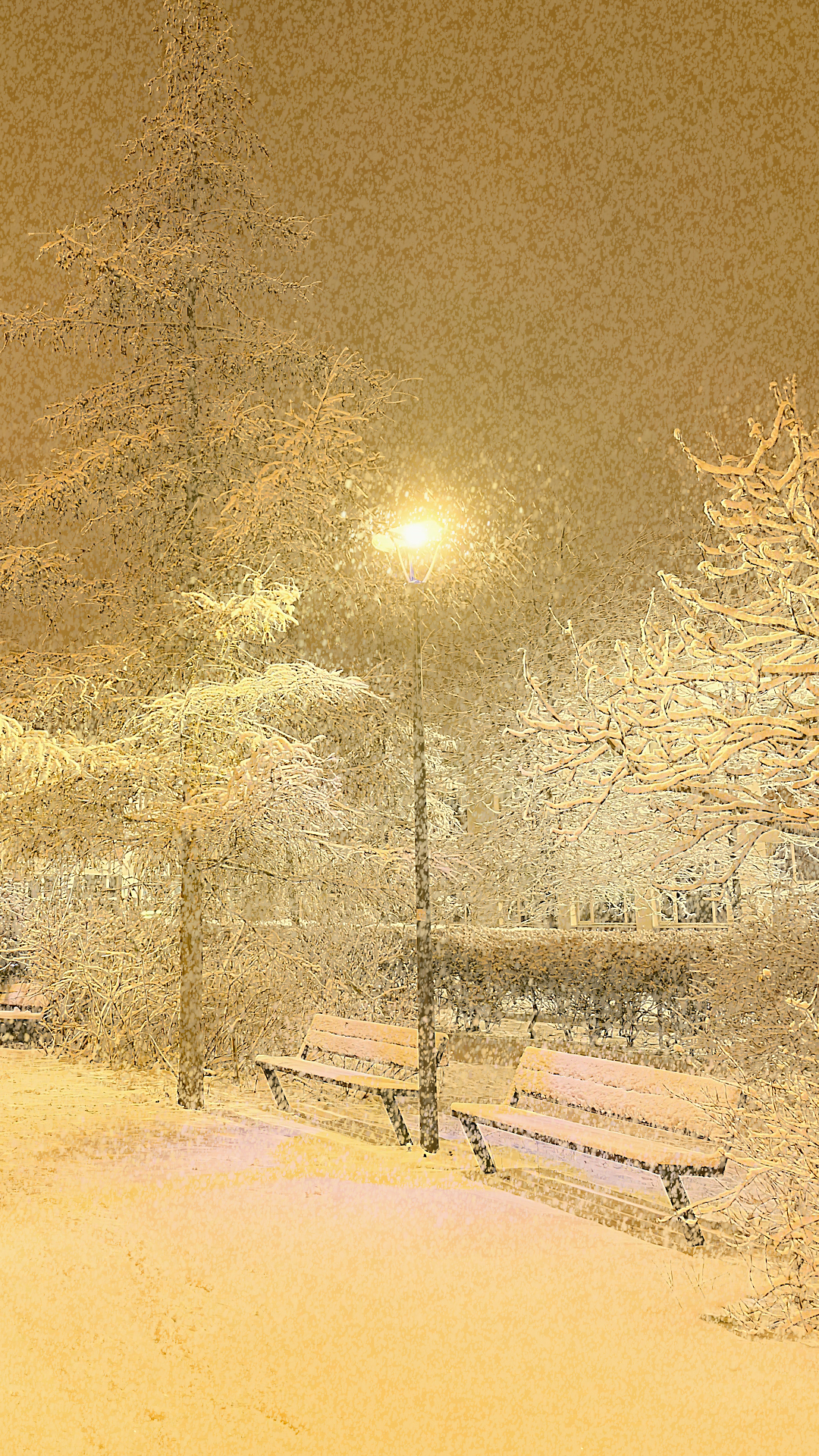 治愈雪景