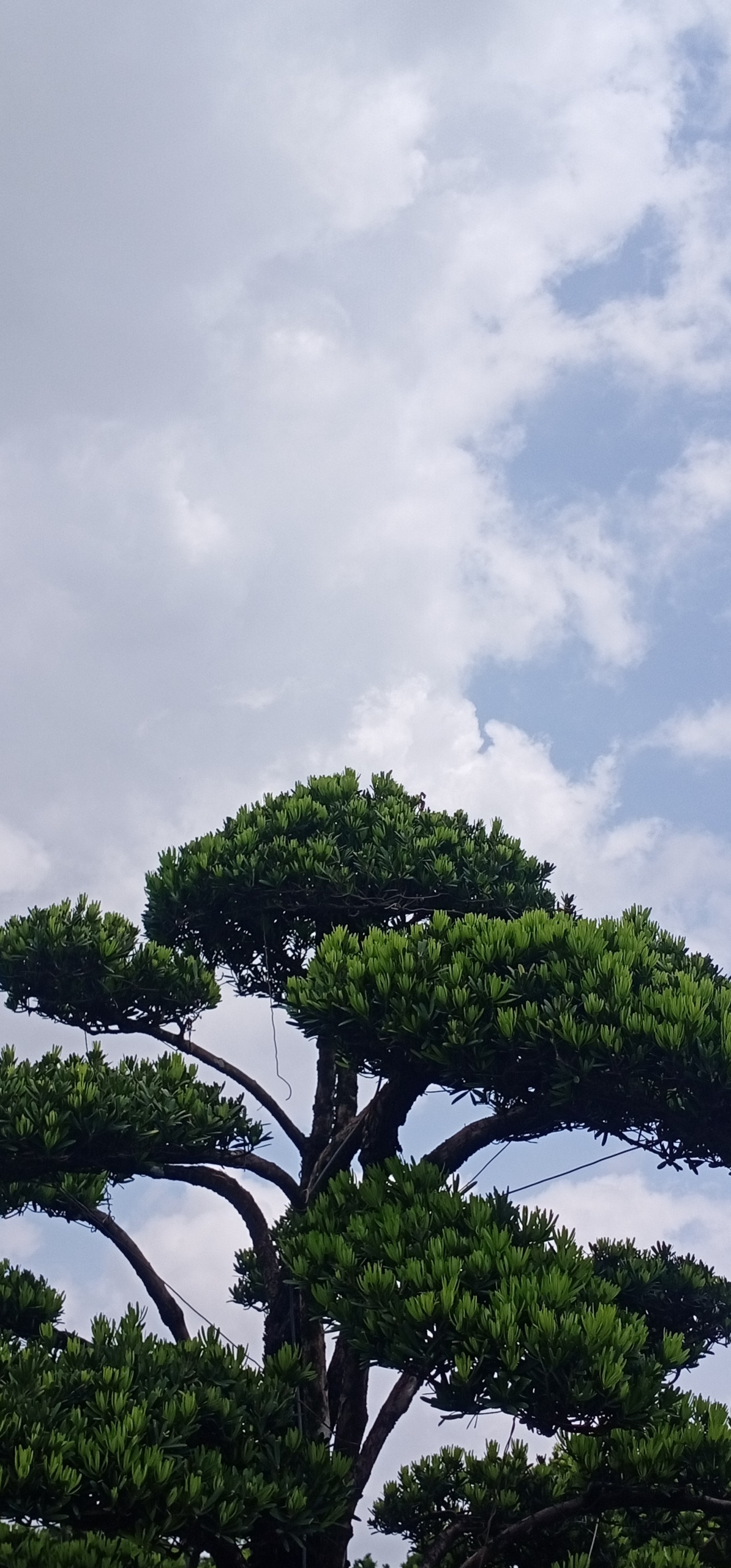 自然美景