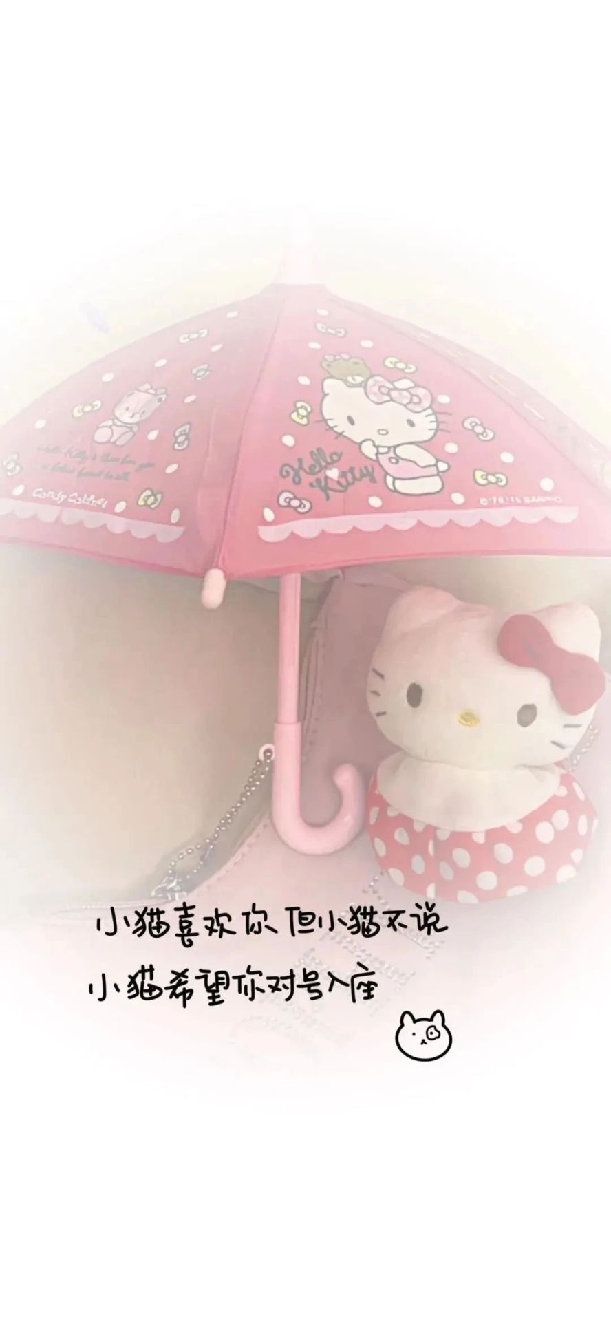 Kitty猫