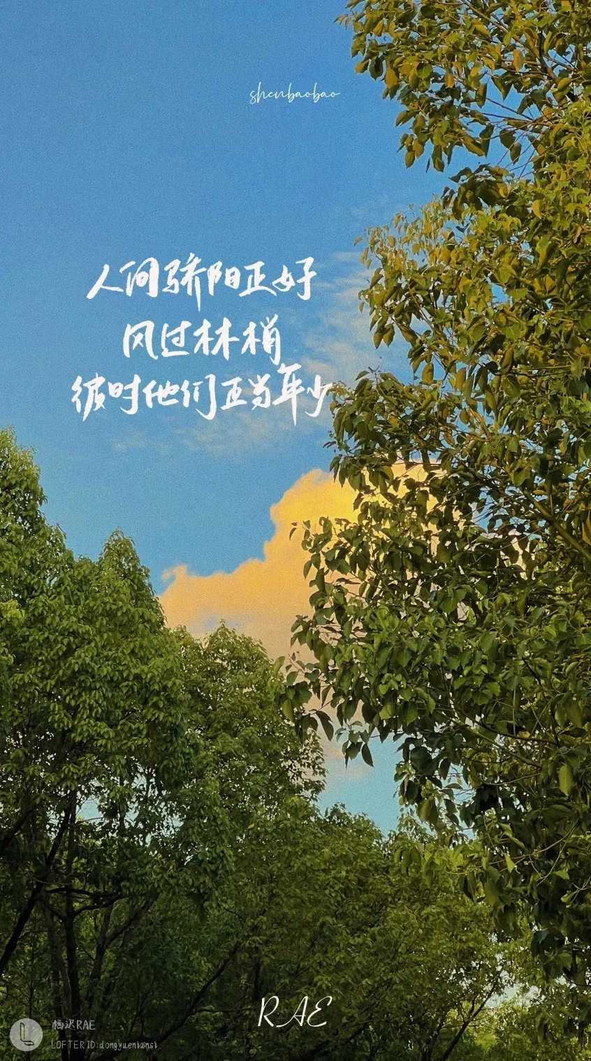 人間驕陽正好
