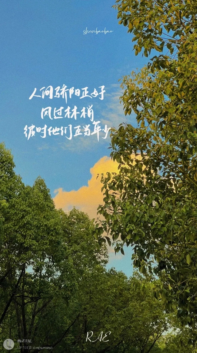 人間驕陽正好