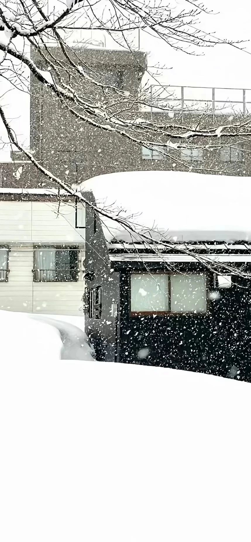 冰雪
