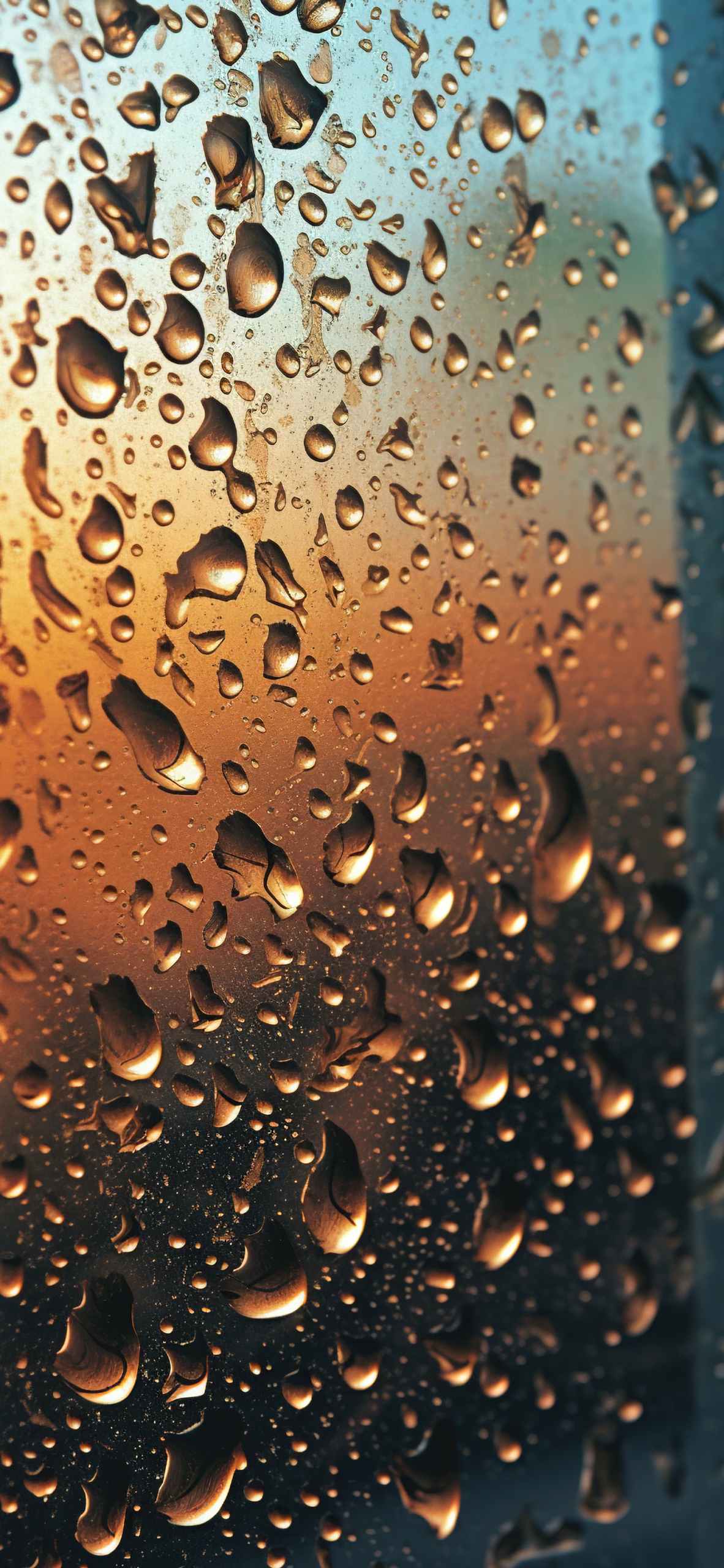 雨滴