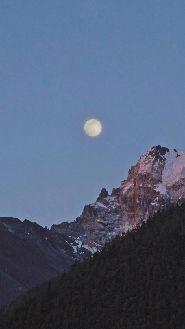 山