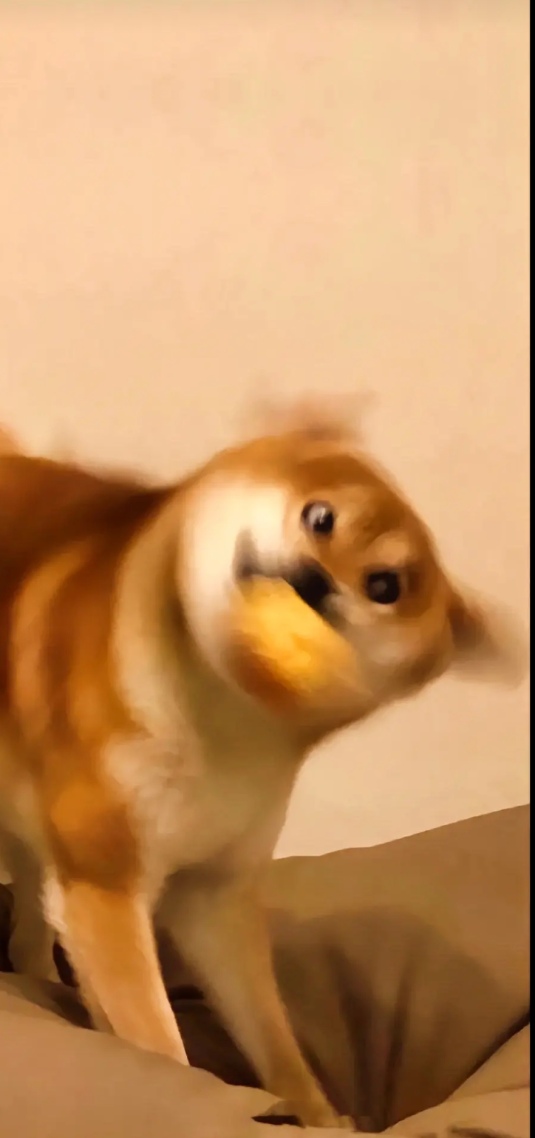 沙雕