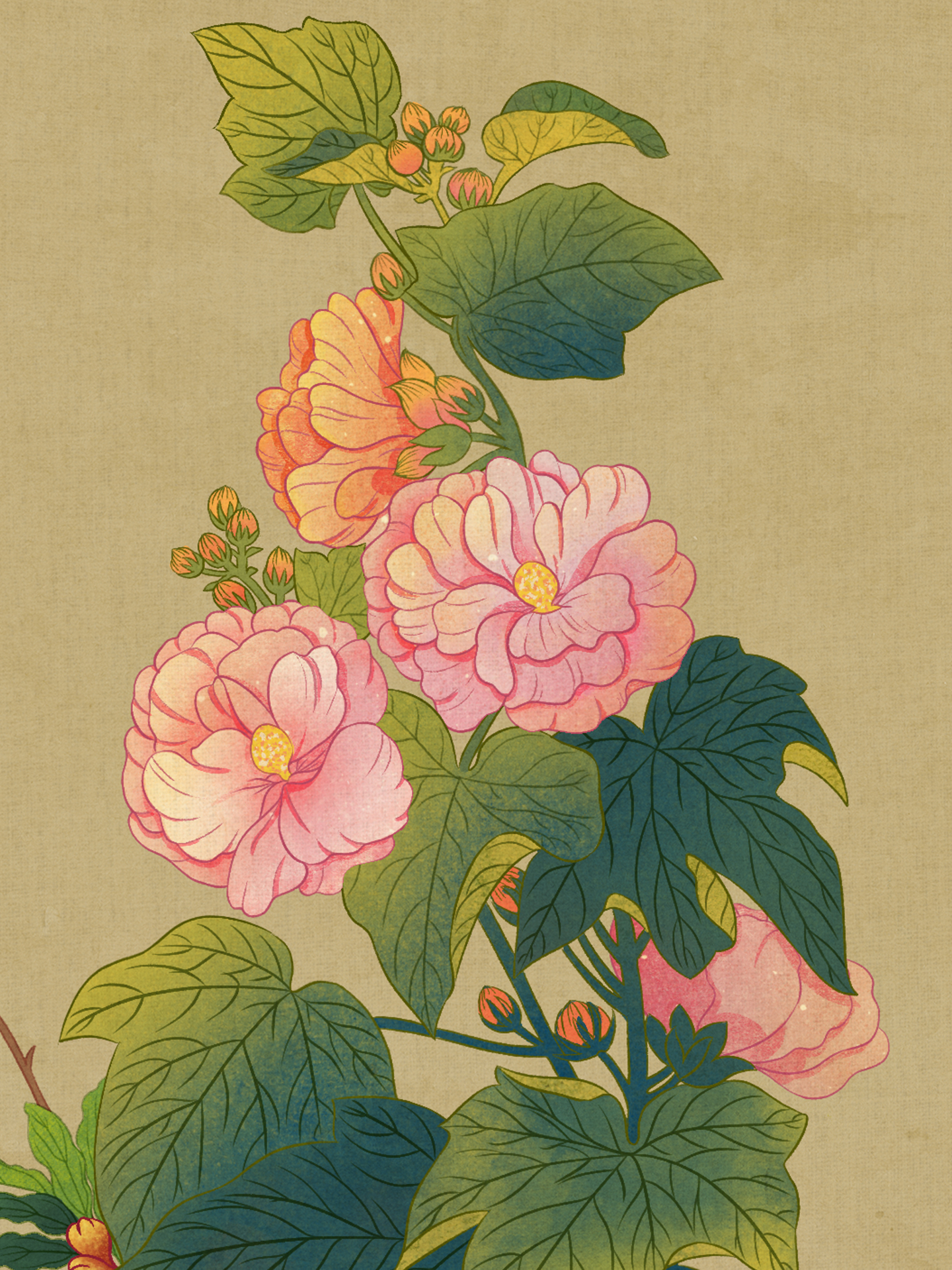 美麗的花花