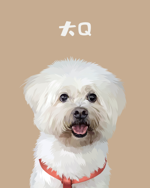 大Q