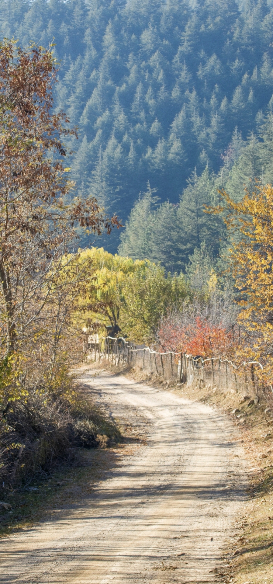 唯美山路