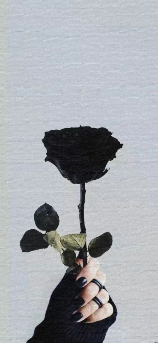 灰色的花
