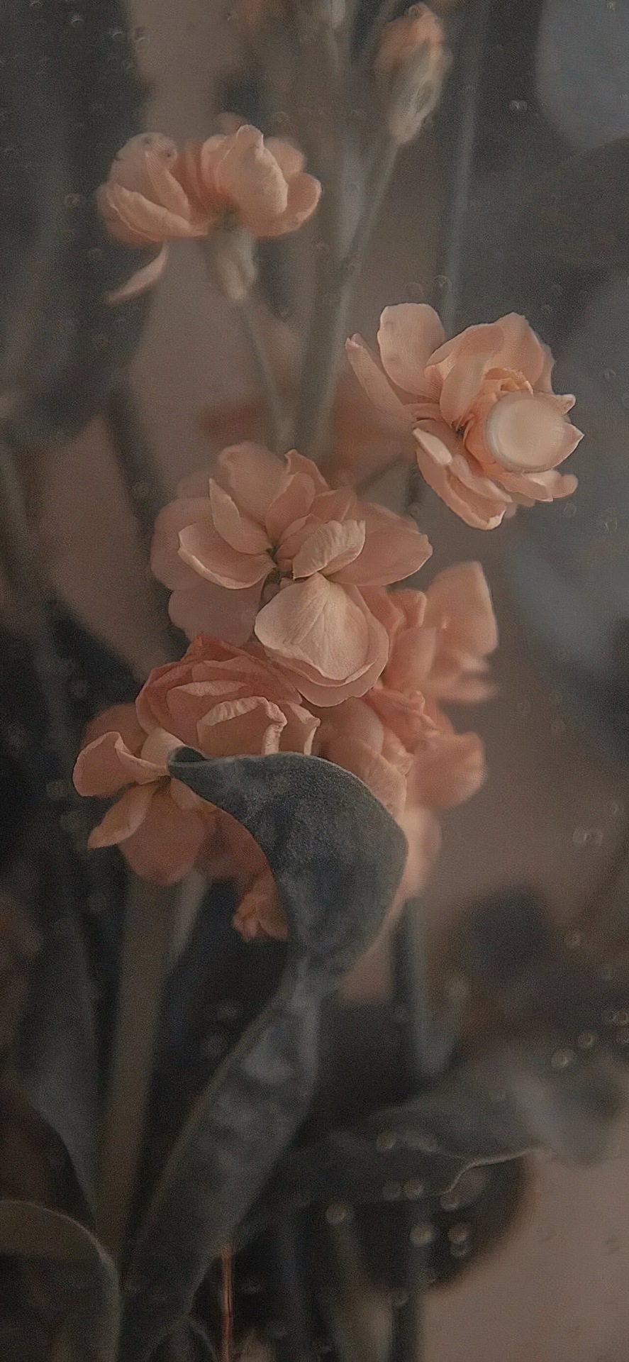 ins风格大片