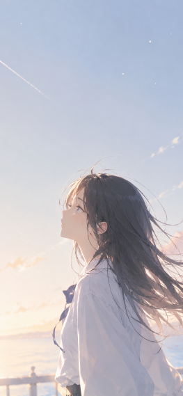 风栖