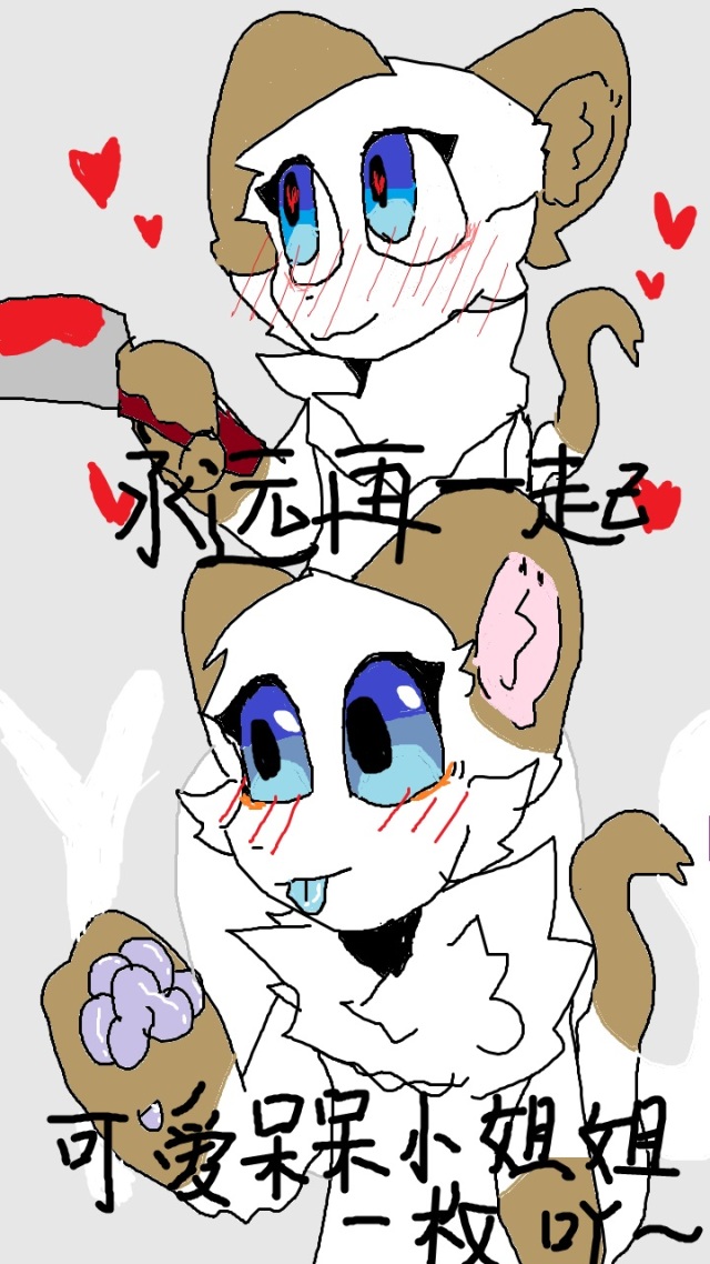 自制暹罗猫猫