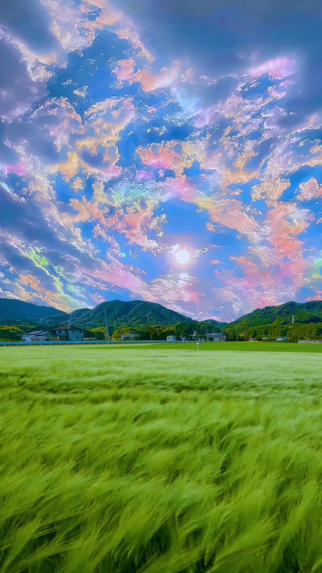 麥浪七彩祥雲
