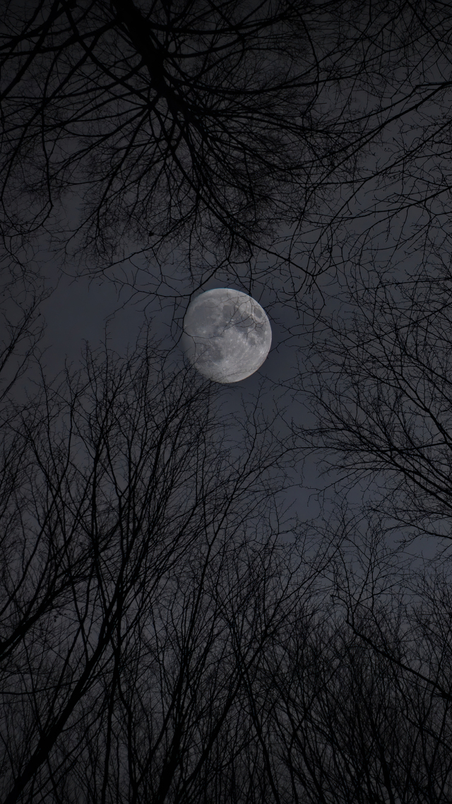 夜晚