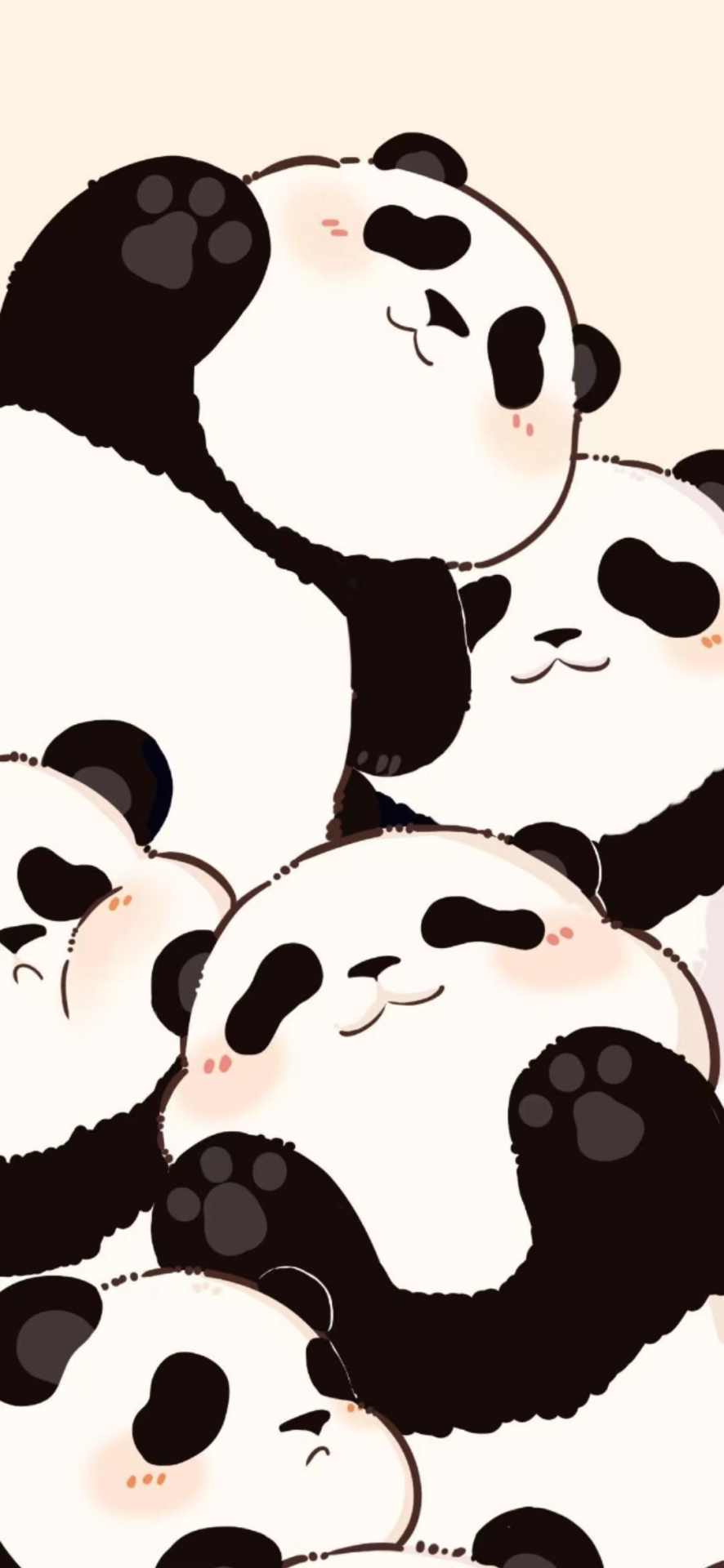 可愛熊貓