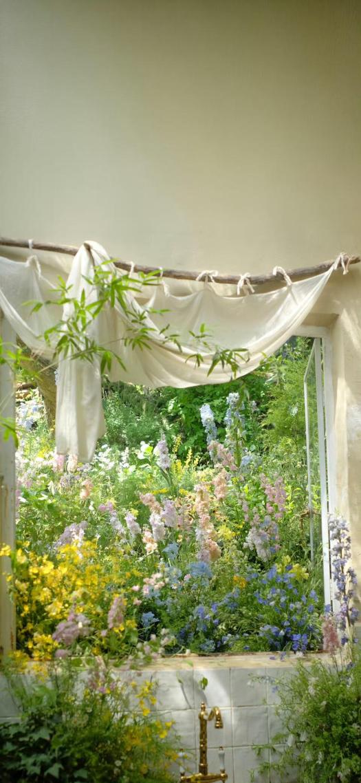 窗户的春天