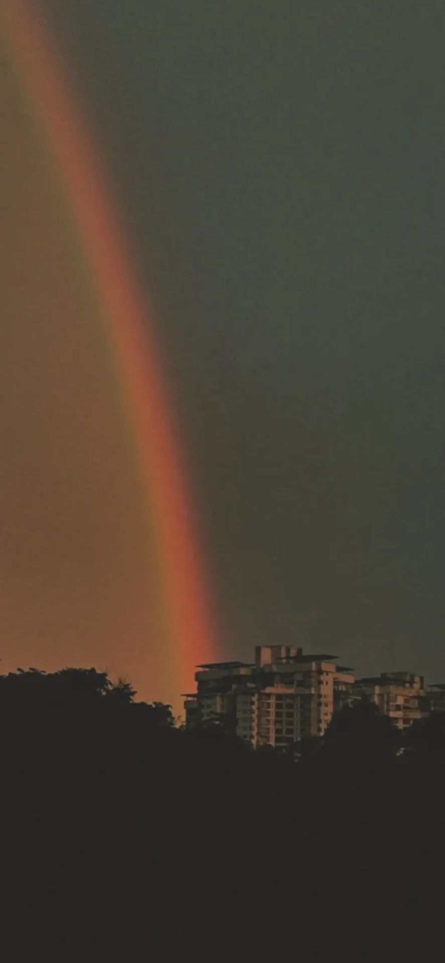 夕陽