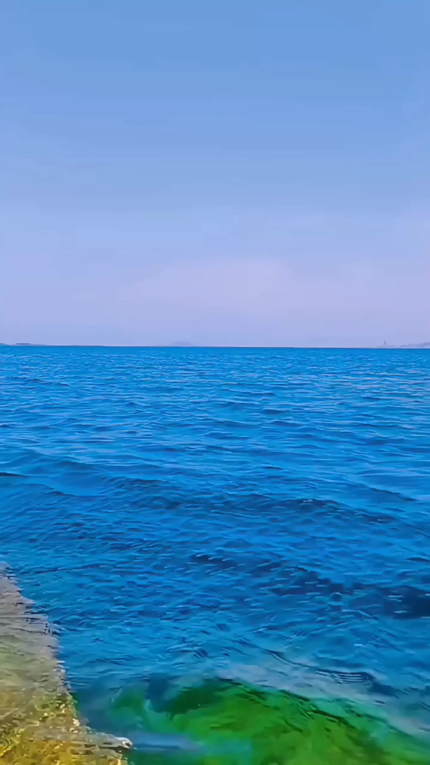 大海②